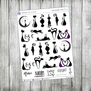 Pierwsze koty za płoty