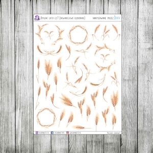 Upalne lato, cz.07 - kłosy pszenicy