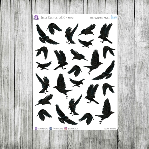 Dziecię Księżyca, cz.07C - kruki