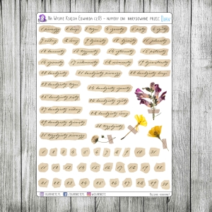 Na Wyspie Księcia Edwarda, cz.03 - numery dni