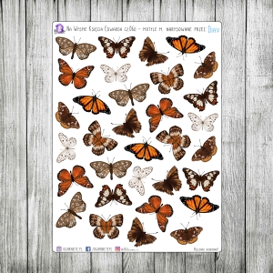 Na Wyspie Księcia Edwarda, cz.06d - motyle małe