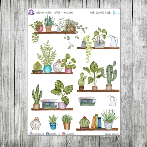 Zielony Ogród, cz.06e - półki z roślinami doniczkowymi