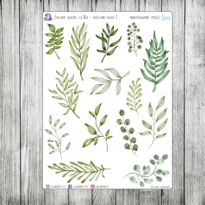 Zielony Ogród, cz.06d2 - duże roślinki