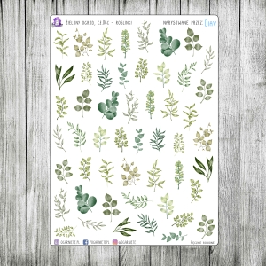 Zielony Ogród, cz.06c - roślinki