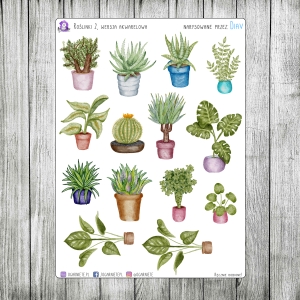 Zestaw roślin v.02