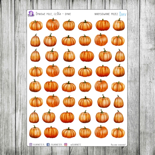 naklejki z dyniami