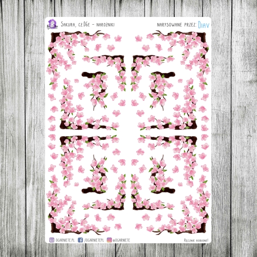 sakura Bullet Journal