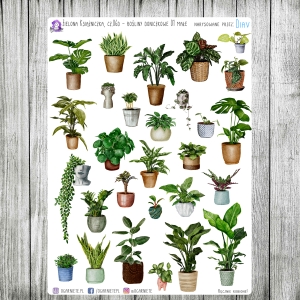 Zielona Książniczka, cz.06d - rośliny małe 01