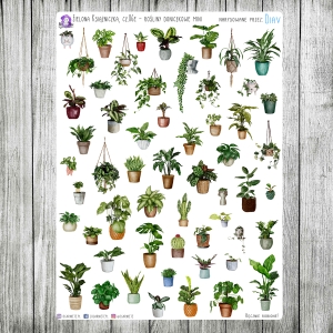 Zielona Książniczka, cz.06e - rośliny mini