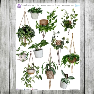 Zielona Książniczka, cz.06g - rośliny duże 05