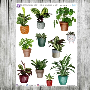 Zielona Książniczka, cz.06f - rośliny duże 04