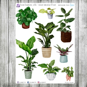 Zielona Książniczka, cz.06c - rośliny duże 03