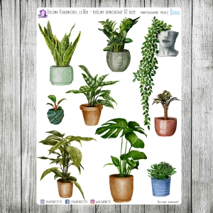 Zielona Książniczka, cz.06b - rośliny duże 02