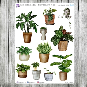 Zielona Książniczka, cz.06a - rośliny duże 01