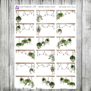 Zielona Książniczka, cz.03l - narożniki z wiszącymi roślinami
