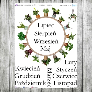 Zielona Książniczka, cz.01f - przywitanie miesiąca