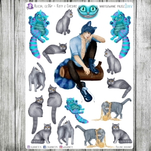 Alicja w Krainie Czarów, cz.06p - Kot z Cheshire