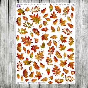 Magiczny Domek, cz.02a - numery na liściach