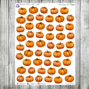 Magiczny Domek, cz.06f - dynie