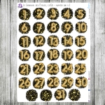 Le Carnaval des Étoiles, cz.02d - numery dni v.02