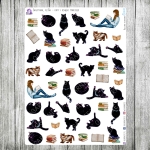 Zaczytana, cz.06c - koty i książki mniejsze