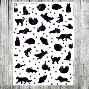 Zaczytana, cz.06e - miau, czyli jeszcze więcej kotów, małe