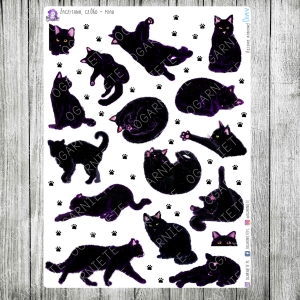 Zaczytana, cz.06d - miau, czyli jeszcze więcej kotów, duże