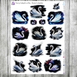 Nocny Łabędź, cz.06a - Nocne Łabędzie