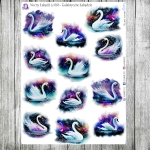 Nocny Łabędź, cz.06b - Galaktyczne Łabędzie