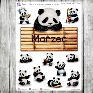 Pandy, cz.01a - przywitanie - marzec