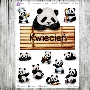 Pandy, cz.01a - przywitanie - kwiecień