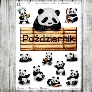 Pandy, cz.01a - przywitanie - październik