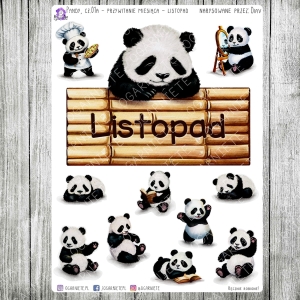 Pandy, cz.01a - przywitanie - listopad