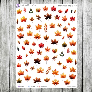 Lisień, cz.06k - liście