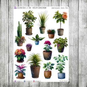 Zielona Oaza, cz.06b - rośliny doniczkowe