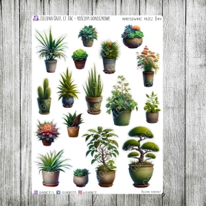 Zielona Oaza, cz.06c - rośliny doniczkowe