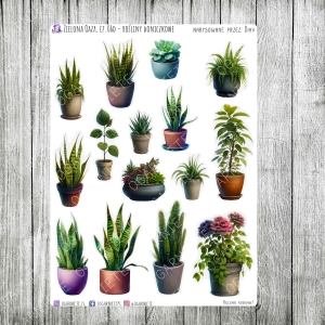 Zielona Oaza, cz.06d - rośliny doniczkowe