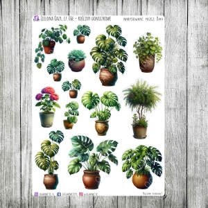 Zielona Oaza, cz.06e - rośliny doniczkowe