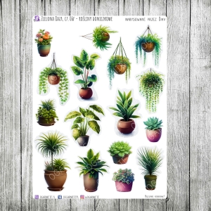 Zielona Oaza, cz.06f - rośliny doniczkowe