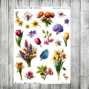 Zielona Oaza, cz.06m - wiosennie