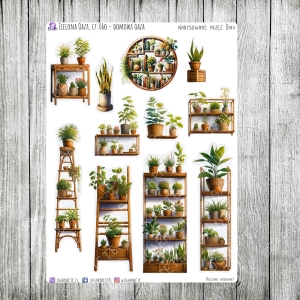 Zielona Oaza, cz.06o - domowa oaza