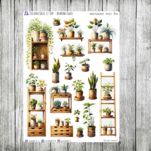 Zielona Oaza, cz.06p - domowa oaza