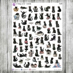 Purrfekcja, cz.06f - minikotki