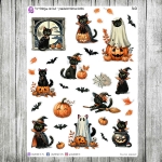 Purrfekcja, cz.06d - październikowe kotki