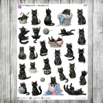 Purrfekcja, cz.06b - miaudobry v.02