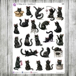 Purrfekcja, cz.06a - miaudobry v.01