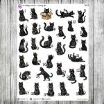 Purrfekcja, cz.02b - numery dni - kotki