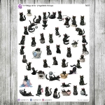 Purrfekcja, cz.01a - przywitanie miesiąca