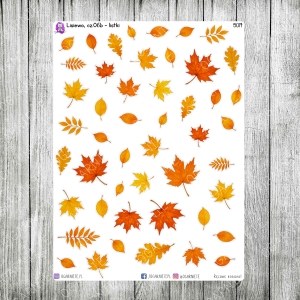 Lisiewo, cz.06b - jesienne liście 