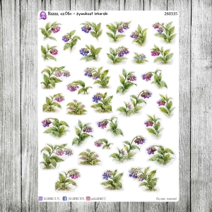 Bzzzz, cz.06n - żywokost lekarski